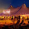 Foto  op Lowlands 2009