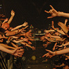Foto  op Lowlands 2009