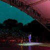 Zuiderpark Live: Harrie Jekkers - 26/06 foto