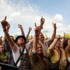 Foto op Down the Rabbit Hole 2026 - vrijdag