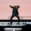 Pitbull
