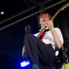 Grote Geelstaart foto Waterpop 2026