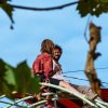 Lowlands 2026 - Zondag foto