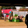 Foto  op Lowlands 2026 - Zondag