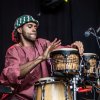 Foto The Bird Experience op Culemborg Blues 2026