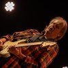 Blues Festival De Doolhof 2026 foto