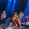 Blues Festival De Doolhof 2026 foto