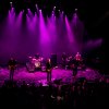 The Fatal Flowers - 28/10 - Hedon foto