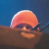 Foto The Bees te Lowlands 2002