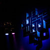 foto Le Guess Who 2009