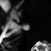 Foto Rammstein te Fields of Rock 2005