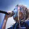Foto  op Graspop 2005