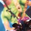 Foto Di-rect te Lowlands 2001