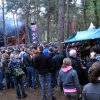 Foto  op Dauwpop 2010