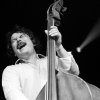 Foto Absynthe Minded te Vlaamse Reuzen Hollandse Leeuwen 2010