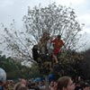 foto Sziget 2005