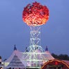 Foto  op Lowlands 2005