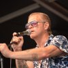Foto Hausmagger te Metropolis 2010