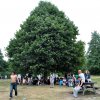 Foto  op Hob Nob 2010