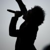 Foto Alice In Chains te Roskilde 2010