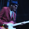 Foto The Specials te Sziget 2010