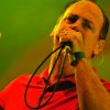 Foto Bad Religion te Sziget 2010