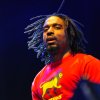 Foto The Wailers te Sziget 2010