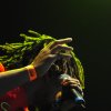 Foto The Wailers te Sziget 2010