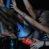 Festivalinfo review: Sziget 2010