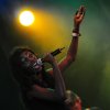 Foto Oi Va Voi te Sziget 2010