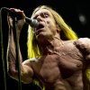 Iggy & The Stooges foto Pinkpop Classic 2010