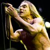 Iggy & The Stooges foto Pinkpop Classic 2010