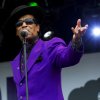 Kid Creole & The Coconuts foto Pinkpop Classic 2010