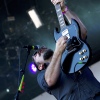 Foto Therapy? te Pinkpop Classic 2010
