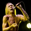 Iggy & The Stooges foto Pinkpop Classic 2010