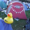 Foto  op Lowlands Festivalreport 2010
