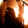Tristania