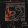 Foto Dropkick Murphys op Folkfestival 2002
