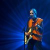 Scout Niblett