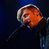 Ozark Henry