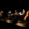 Foto Victoire op Cross-Linx Eindhoven 2011