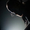 Foto Wovenhand te Wovenhand - 13/4 - Paard van Troje