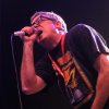 Foto Descendents te Groezrock 2011
