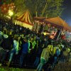 Foto  op Bevrijdingsfestival Overijssel 2011