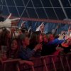 Foto  op Bevrijdingsfestival Groningen 2011
