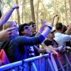 Foto  op Dauwpop 2011