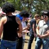 foto Dauwpop 2011