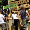 Foto  op Dauwpop 2011