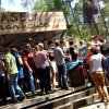 Foto  op Dauwpop 2011