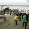 Foto  op Primavera Sound 2011